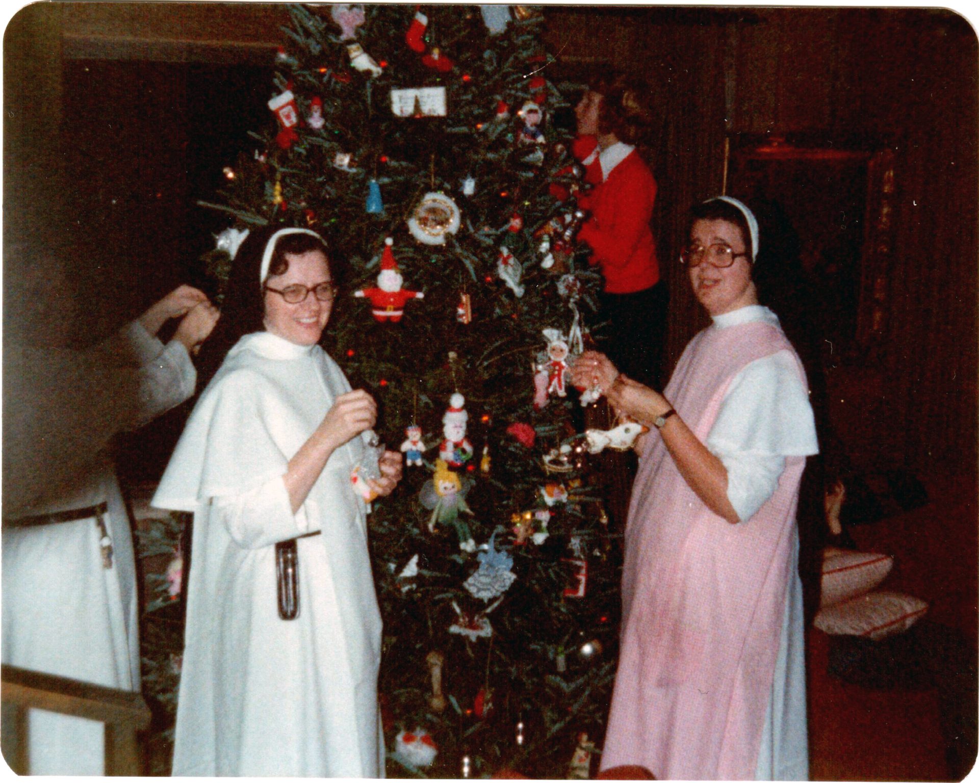 Sister Agnes Ann Pisel: A COVID-19 Transition - Dominican Sisters of