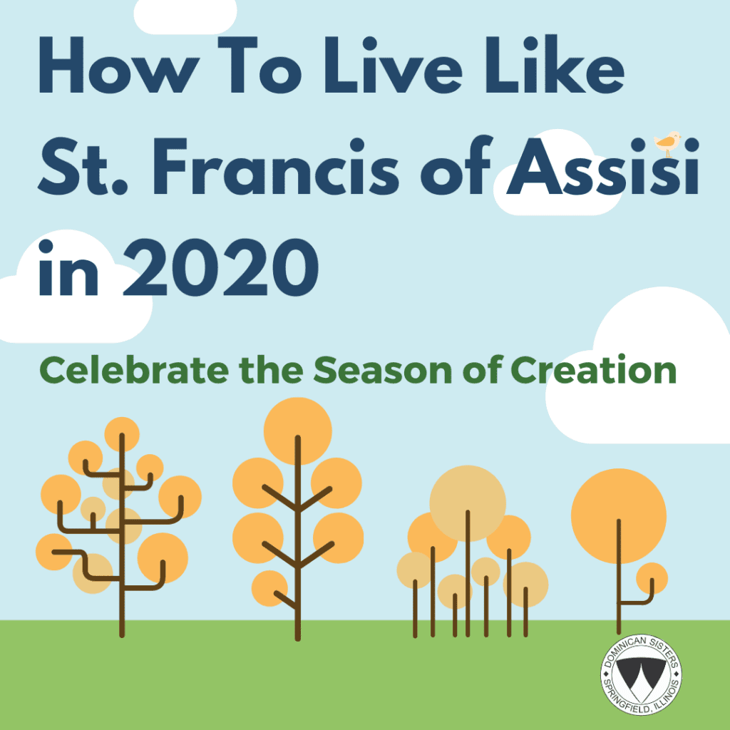How To Live Like St. Francis of Assisi in 2020