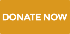 yellow donate now button