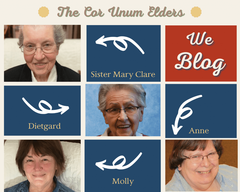 Introducing the Cor Unum Elders_web