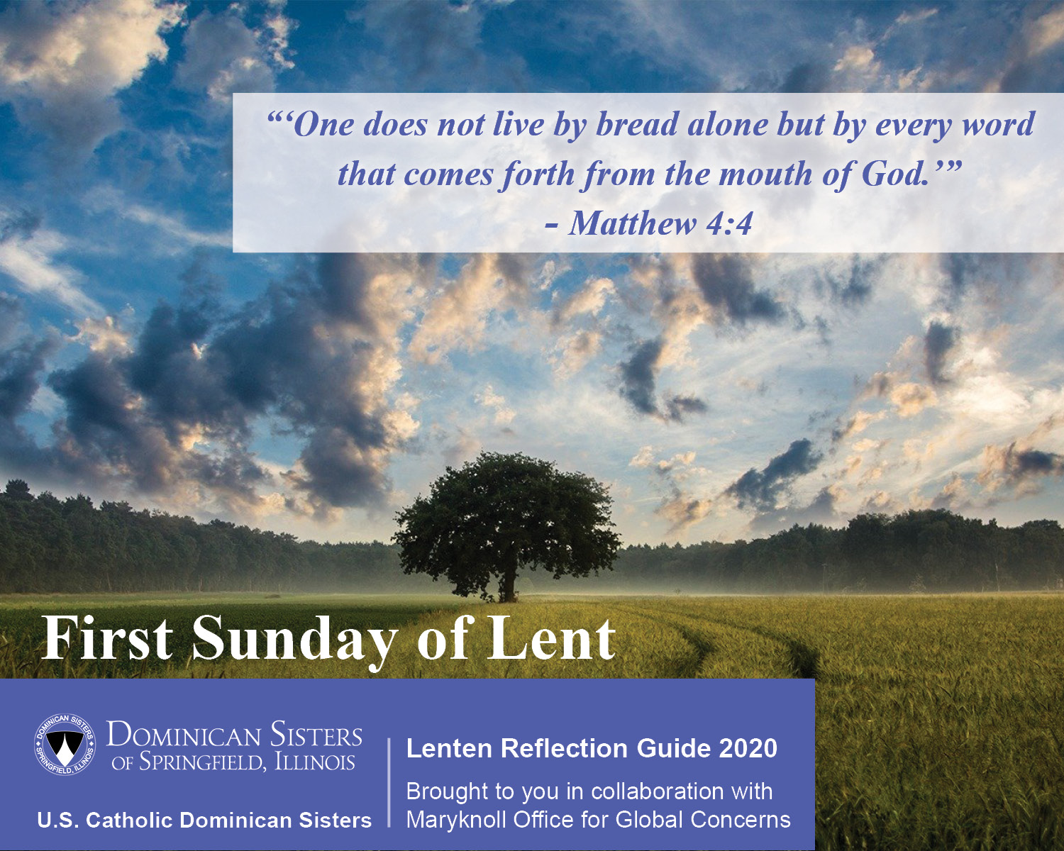 esculpir Distracción puramente First Sunday of Lent March 1, 2020 - Dominican Sisters of Springfield  Illinois