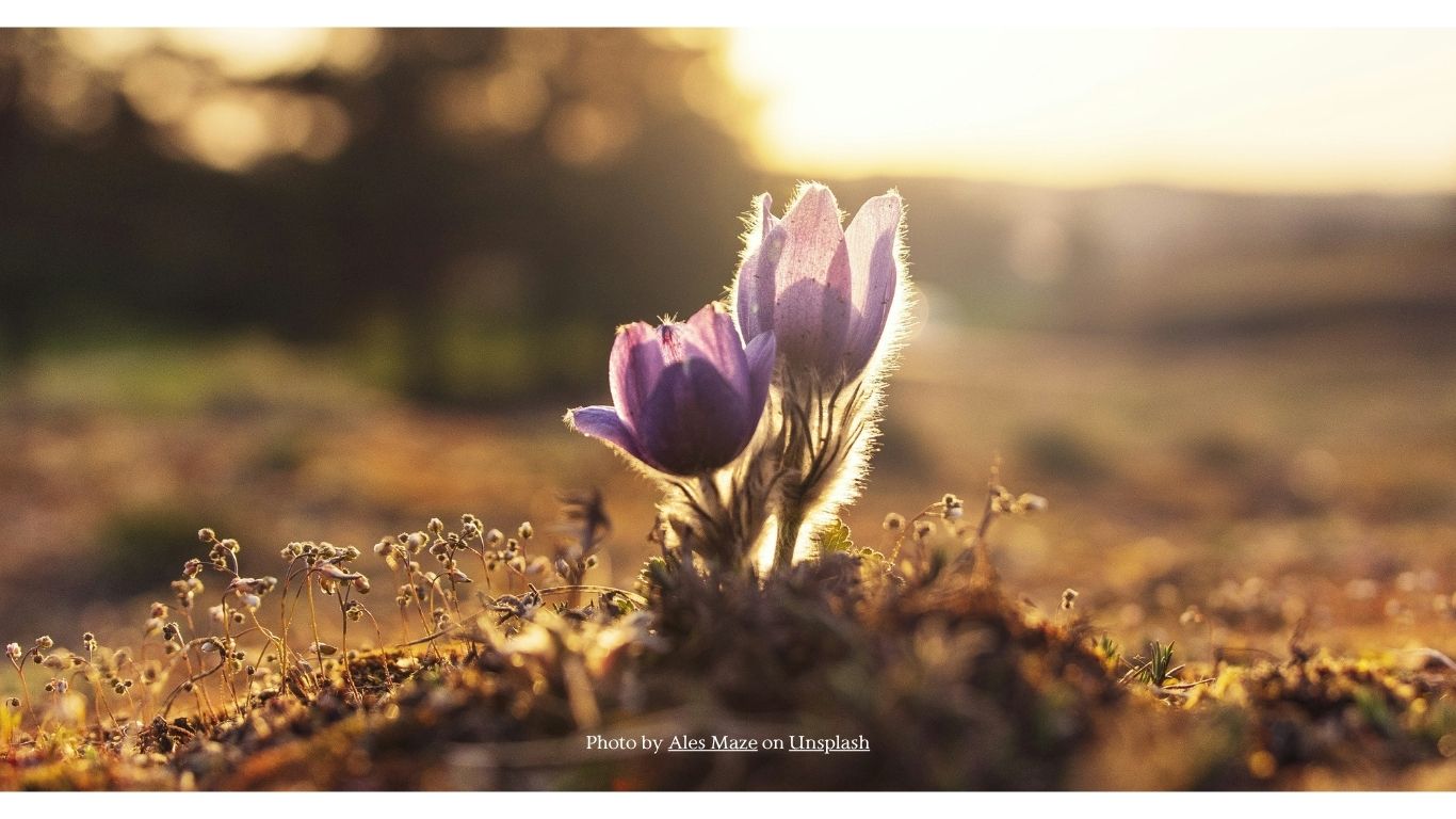 Happy Easter 관련 이미지