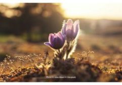 Photo by Ales Maze on Unsplash (Website)