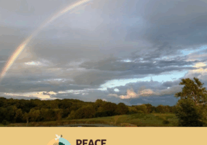 SOC-blog1-20250722