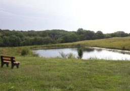 cropped-JubileeFarmCoverPhoto-lake-bench