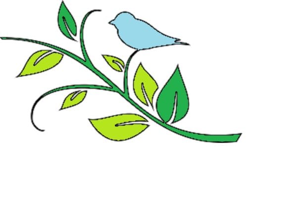 colored bird colored bird