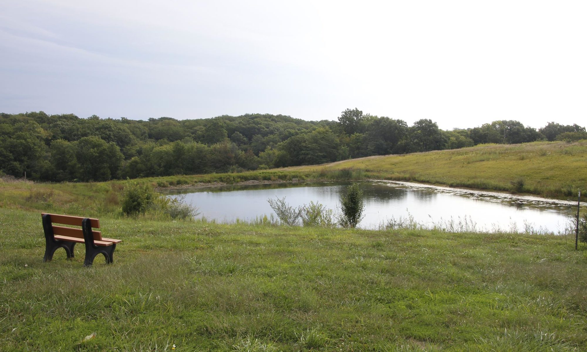 Jubilee Farm 25th Anniversary Celebration