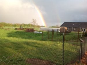 rainbow over Jubilee Farm
